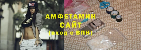 амф Ельня