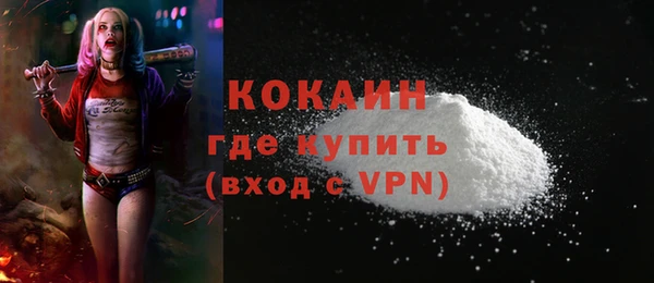 амф Ельня