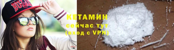 амф Ельня