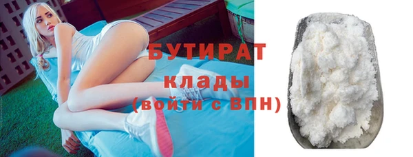 амф Ельня