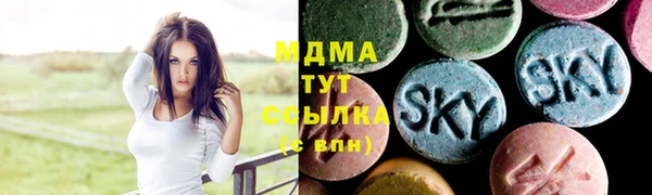 амф Ельня