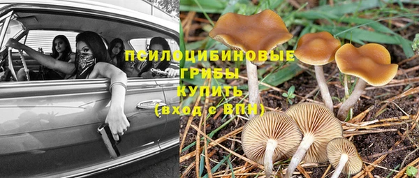 амф Ельня