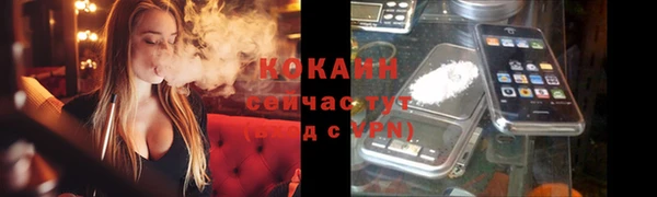 амф Ельня