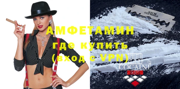 амф Ельня