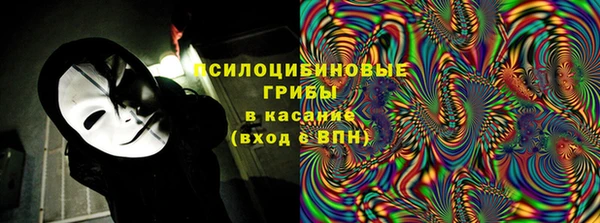 амф Ельня