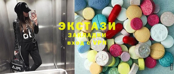 амф Ельня
