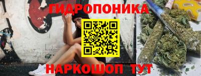 прущие грибы Партизанск