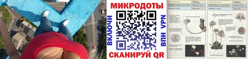 Галлюциногенные грибы Psilocybine cubensis  что такое наркотик  Георгиевск 